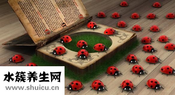 磨牙缺什么