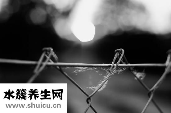 花印怎么样