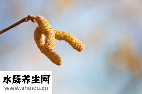 怎么可以祛斑
