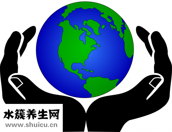 肺热吃什么好