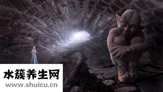 结婚纪念日送什么花