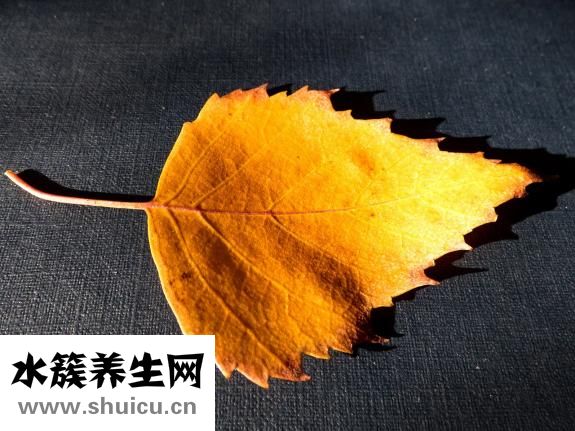 如何才能怀孕
