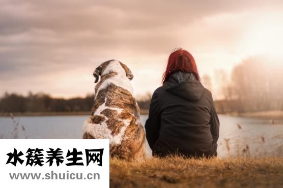 腹痛怎么办