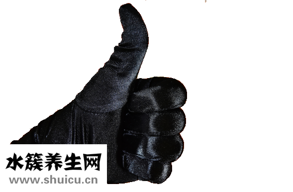 血虚吃什么