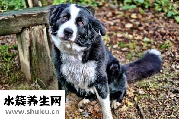 鼻子有点歪怎么办