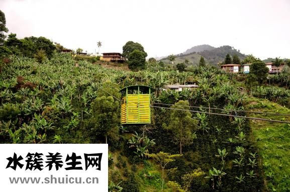 毛发种植哪里有