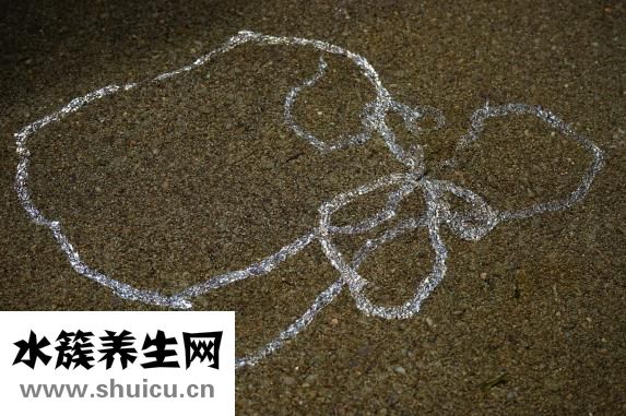 脑干胶质瘤能活多久