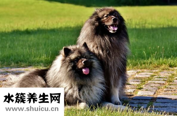 尿布疹怎么办
