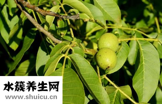 支气管炎干咳怎么办