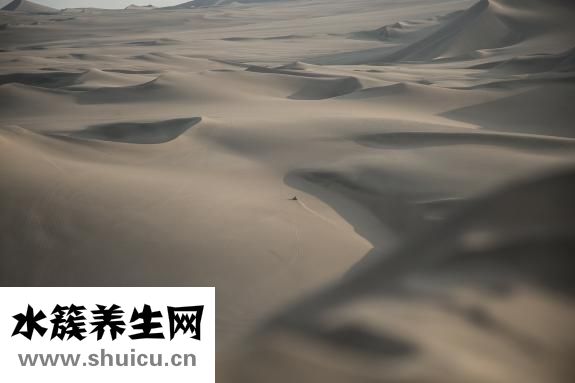 心情不好怎么发泄