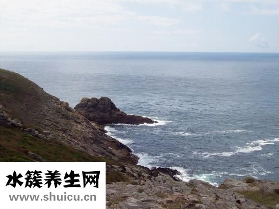 掉头发缺什么