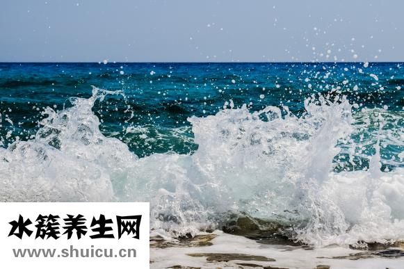 黄精是什么