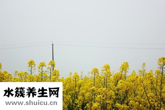 肤色暗沉怎么办