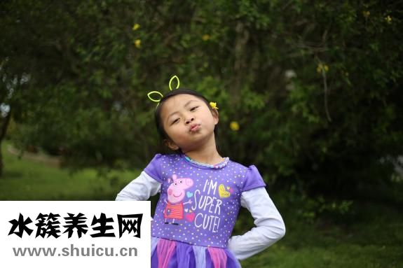 通草是什么
