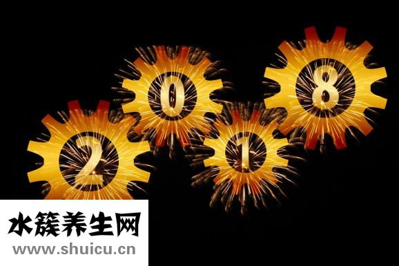 哪里看头发好