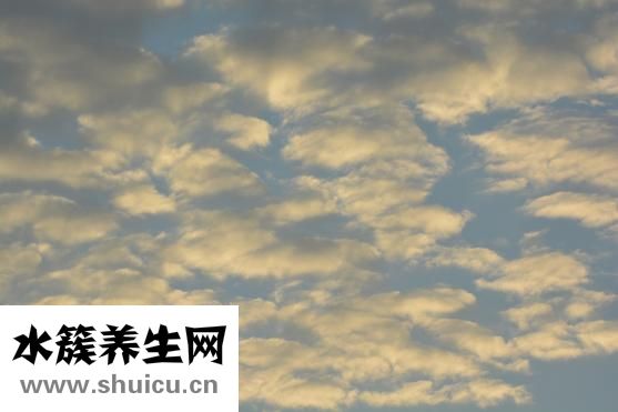 搅拌机怎么用