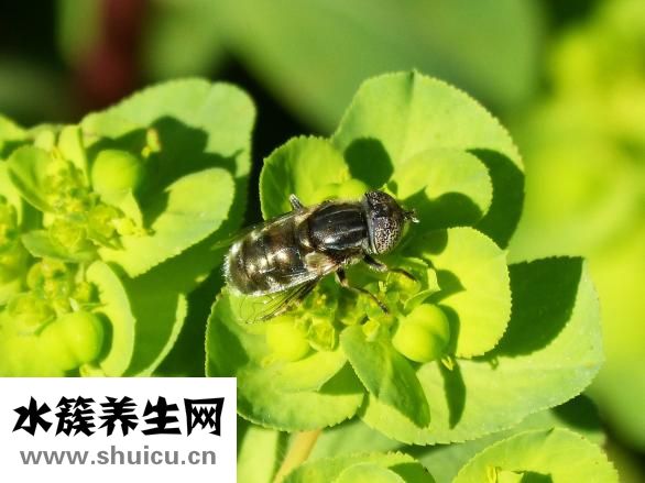 如何去掉鱼尾纹