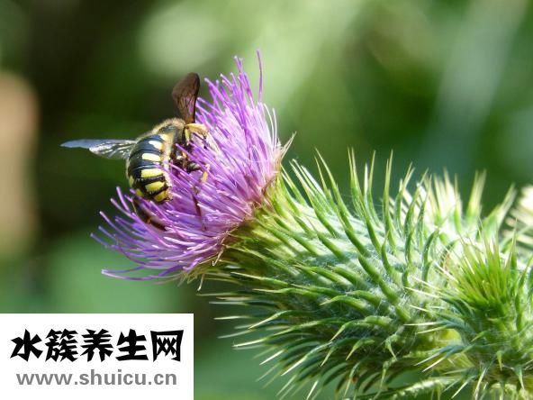如何瘦咬肌