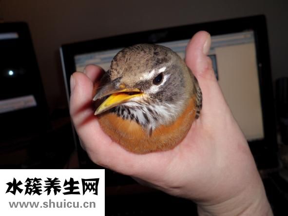 汉釜宫怎么样