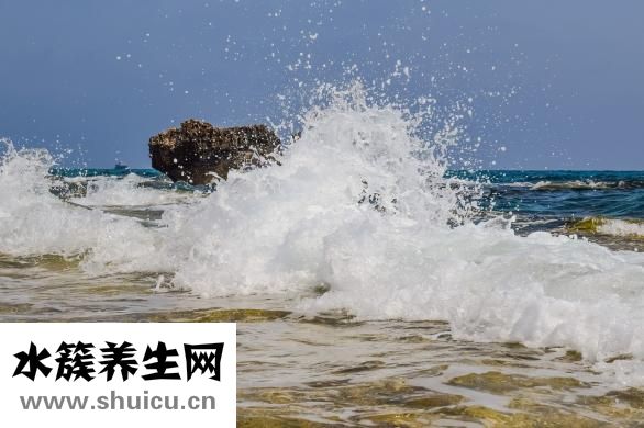 黄精是什么