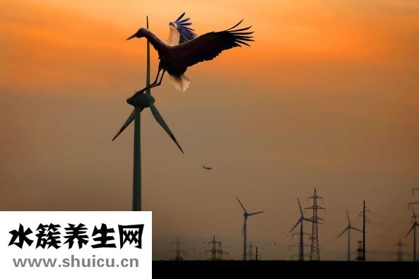 断奶奶涨怎么办