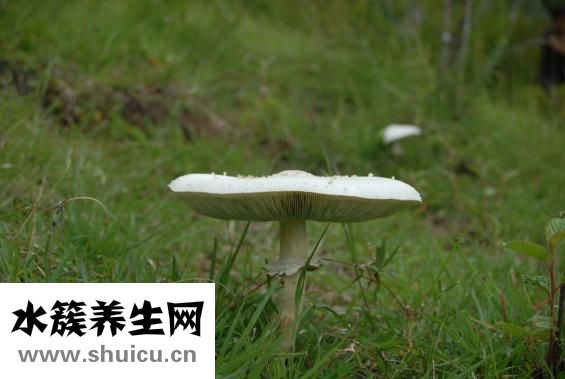 脚底脱皮怎么办