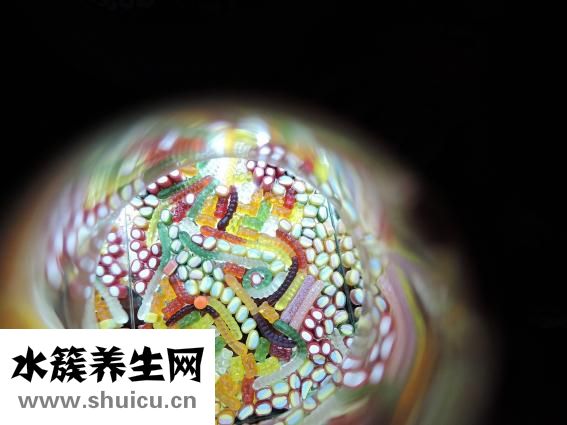 怎么祛黄褐斑