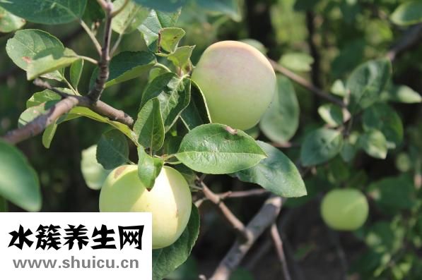怎么去眼部皱纹