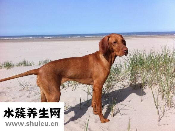 运动后多久喝水