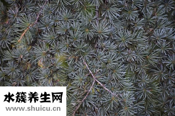 悬针纹怎么去除