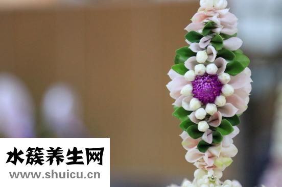 睡不着吃什么