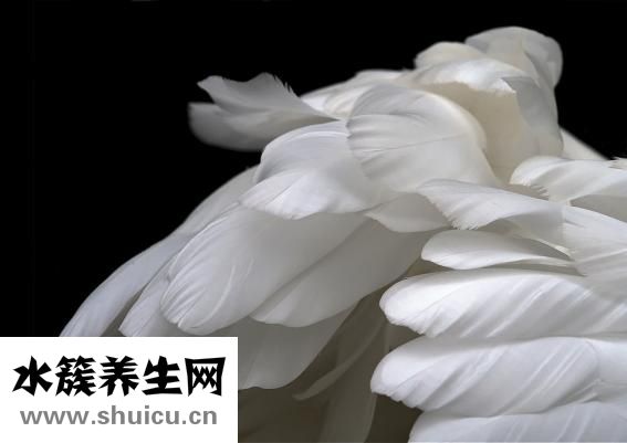 浮躁怎么办