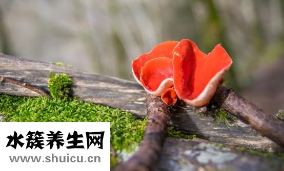 脚癣怎么治