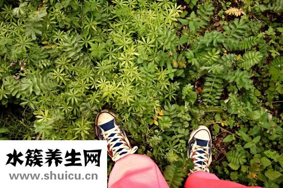 生育险有什么用