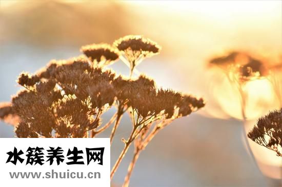 心情不好怎么发泄
