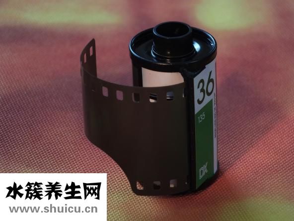 如何紧致皮肤