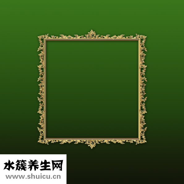 鲈鱼产于哪里