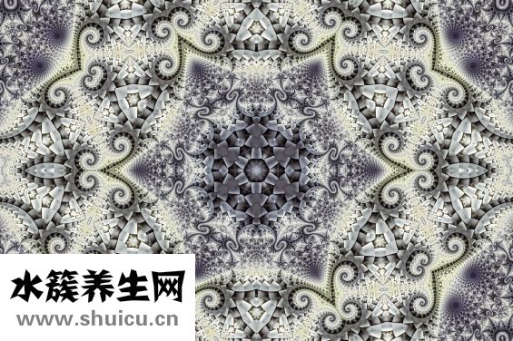 白蚁怎么治