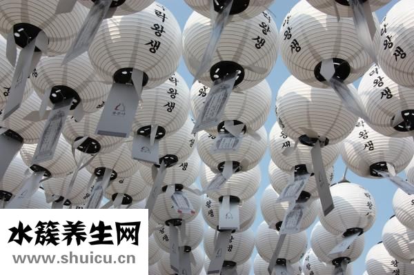 牛磺酸是什么
