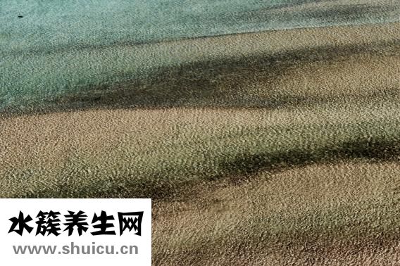 黑人牙膏怎么样