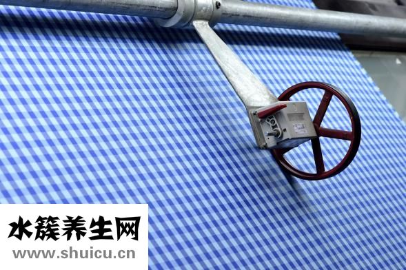 失眠多梦吃什么好