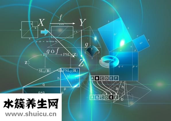 胶原蛋白有什么功效