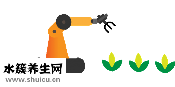 优品惠东西怎么样