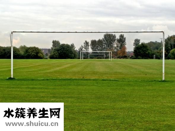 韩新鸣整鼻头怎么样