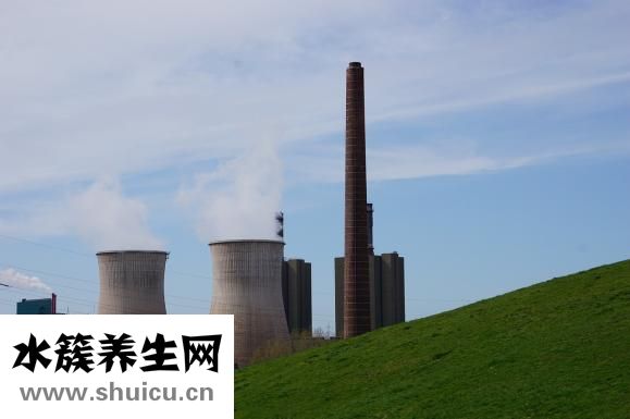 失眠多梦吃什么好