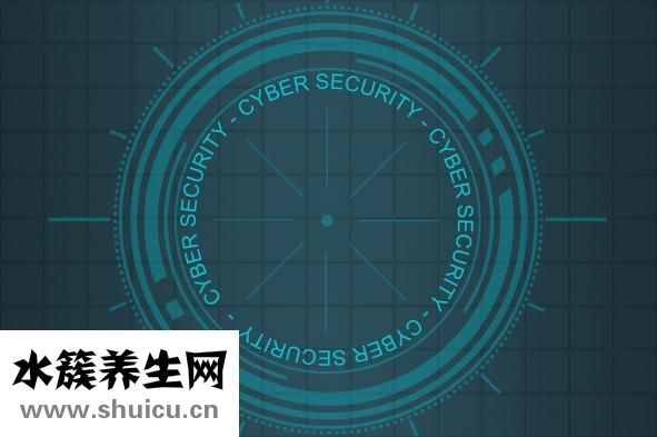 什么是双轨制