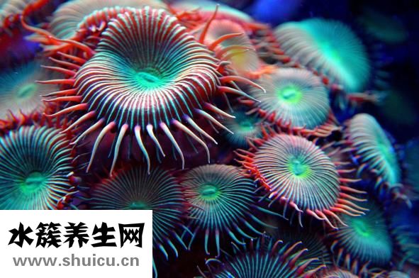 科技馆里有什么