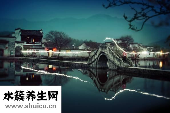 忆草怎么样