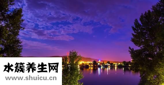 忆草治疗风湿痹痛可单用或与麻黄干姜合用