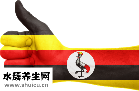 欧普达手表怎么样